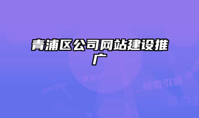 青浦區(qū)公司網站建設推廣