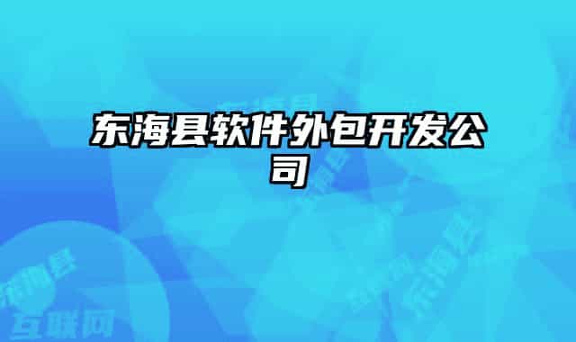 東海縣軟件外包開發(fā)公司