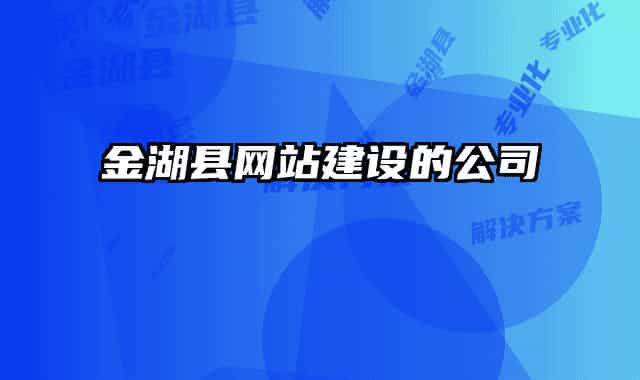 金湖縣網(wǎng)站建設的公司