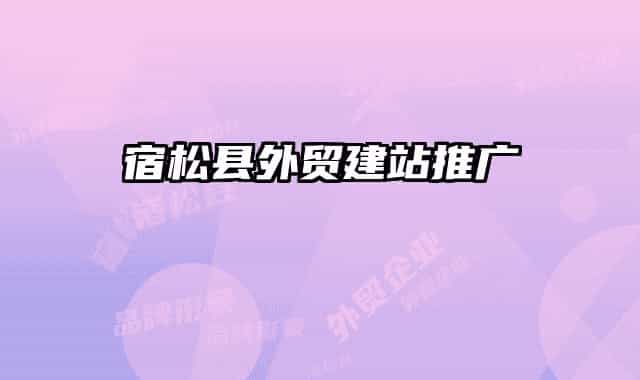 宿松縣外貿(mào)建站推廣