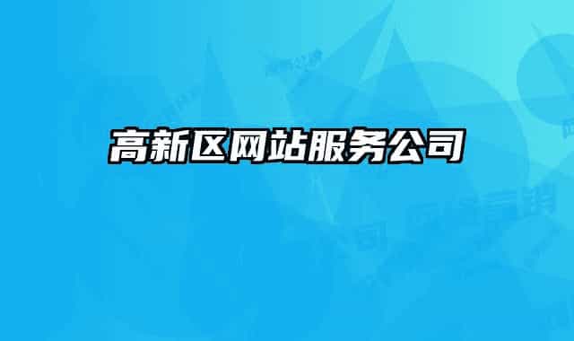 高新區(qū)網站服務公司