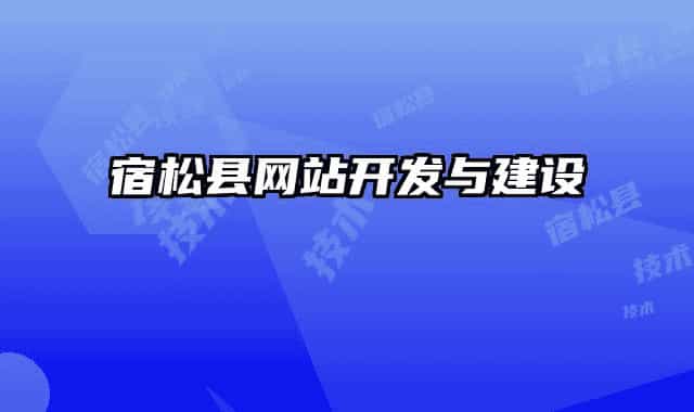 宿松縣網(wǎng)站開發(fā)與建設(shè)