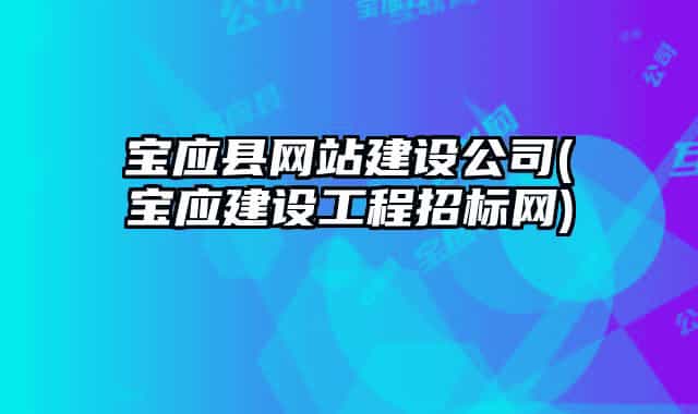 寶應(yīng)縣網(wǎng)站建設(shè)公司(寶應(yīng)建設(shè)工程招標(biāo)網(wǎng))
