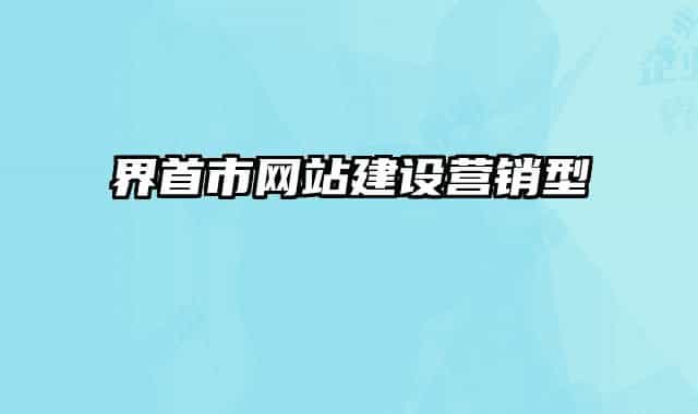 界首市網站建設營銷型