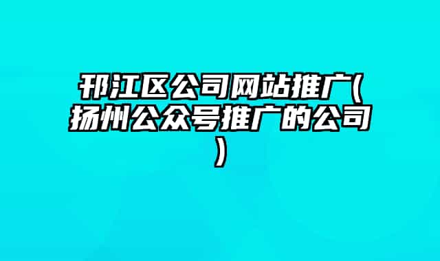 邗江區(qū)公司網(wǎng)站推廣(揚州公眾號推廣的公司)