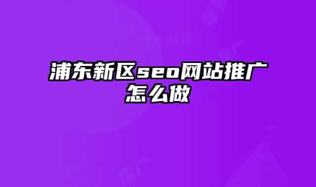 浦東新區(qū)seo網站推廣怎么做
