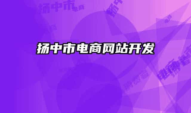 揚(yáng)中市電商網(wǎng)站開(kāi)發(fā)