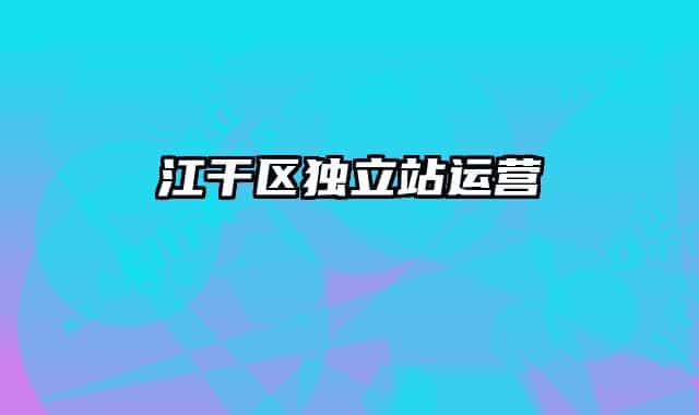 江干區(qū)獨(dú)立站運(yùn)營