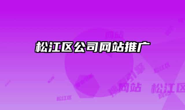 松江區(qū)公司網站推廣