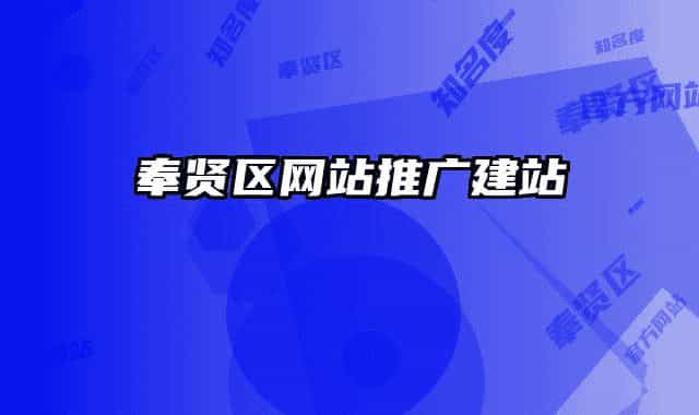 奉賢區(qū)網(wǎng)站推廣建站