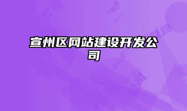 宣州區(qū)網(wǎng)站建設(shè)開(kāi)發(fā)公司