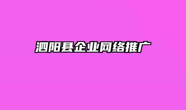 泗陽縣企業(yè)網(wǎng)絡推廣
