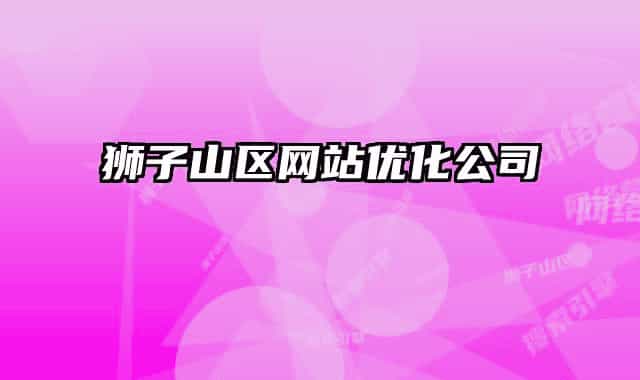 獅子山區(qū)網(wǎng)站優(yōu)化公司