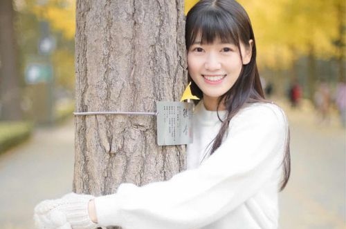 蜀山區(qū)網(wǎng)站建設開發(fā)公司